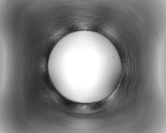 X0000086920174200704301104