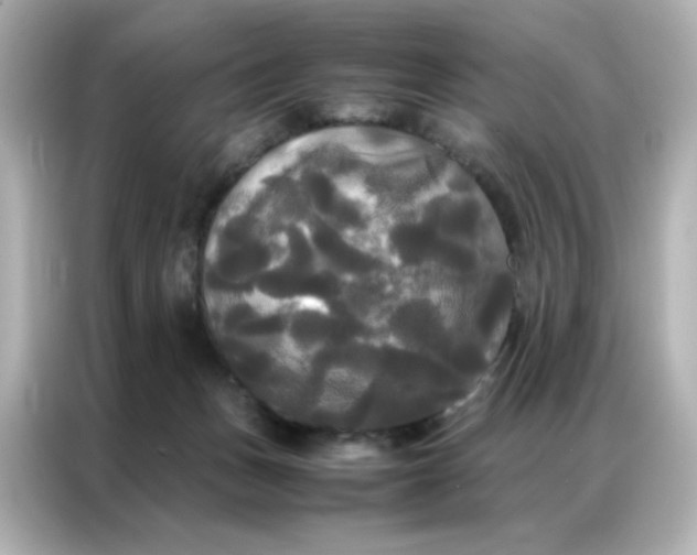X0000086920175200704301104