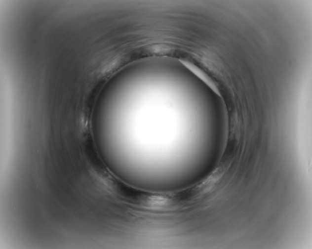 X0000086920176200704301104
