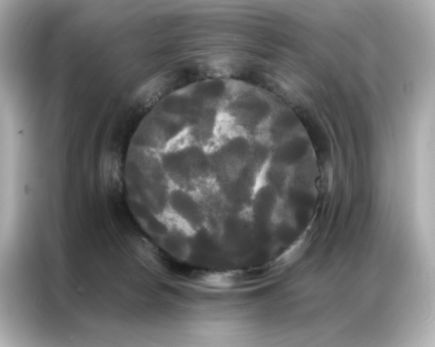 X0000086920178200704301104