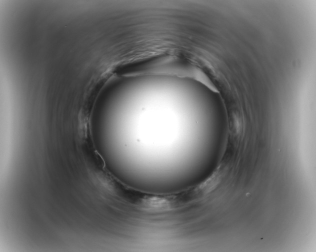X0000086920180200704301104