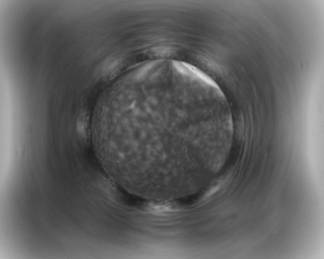 X0000086920181200704301104