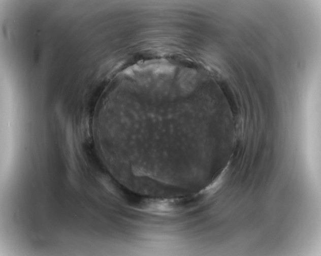 X0000086920182200704301104