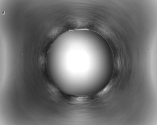 X0000086920184200704301104