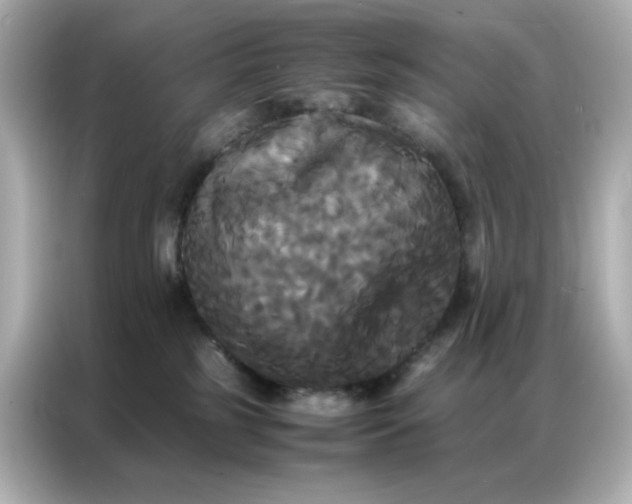 X0000086920185200704301104