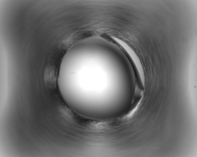 X0000086920186200704301104