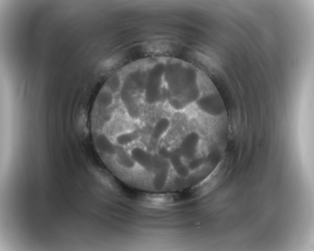 X0000086920187200704301104