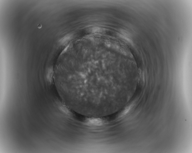 X0000086920189200704301104