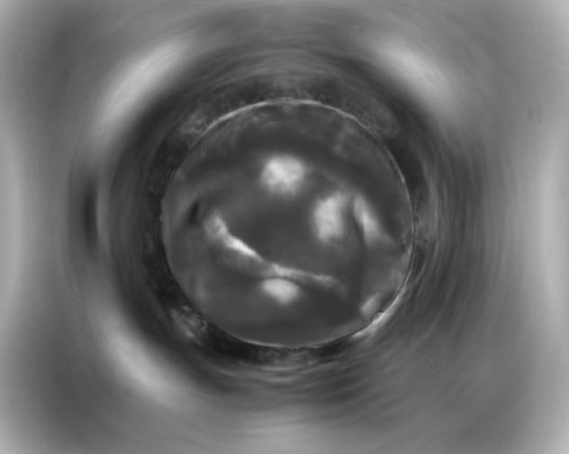 X0000086920191200704301104