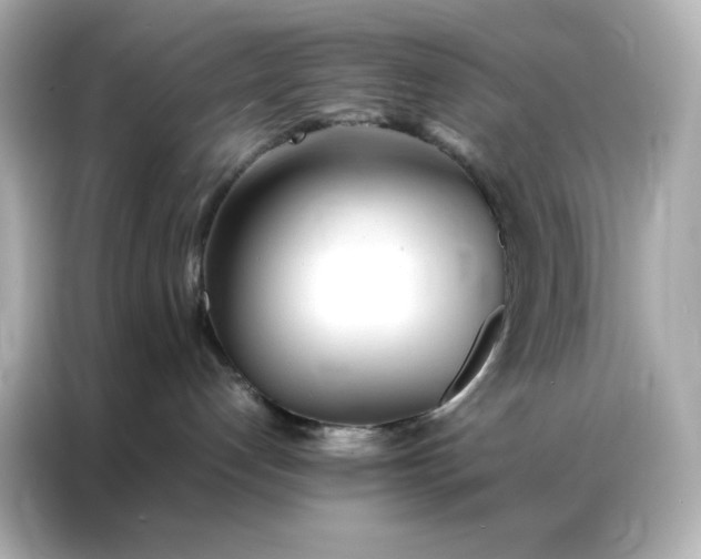 X0000086920192200704301104