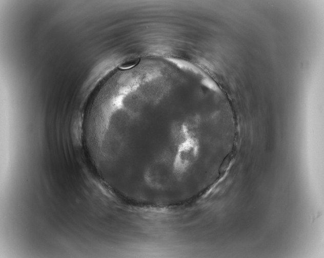 X0000086920194200704301104