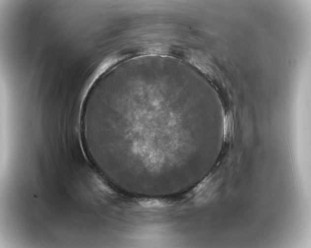 X0000086920195200704301104