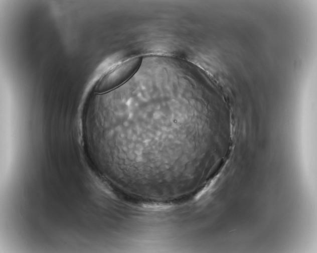 X0000086920198200704301104