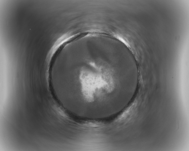 X0000086920199200704301104