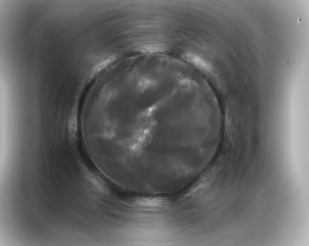 X0000086920202200704301104