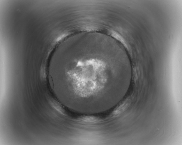 X0000086920203200704301104