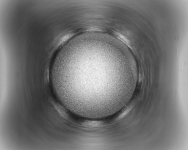 X0000086920205200704301104