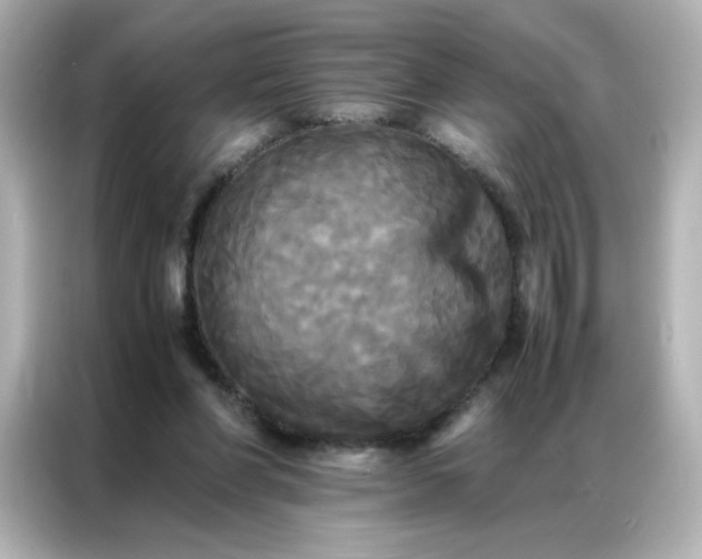 X0000086920206200704301104
