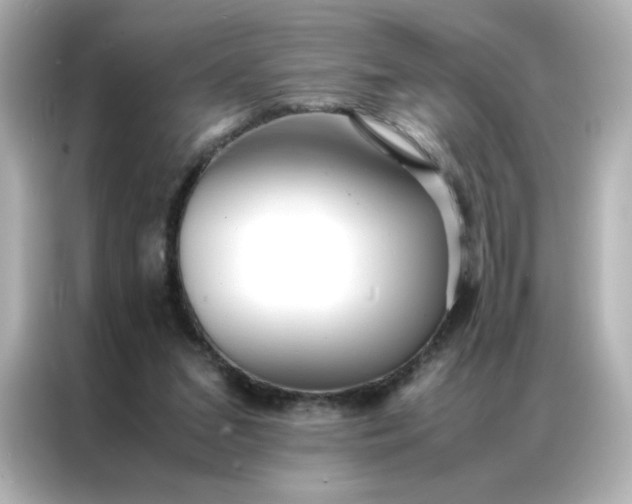 X0000086920207200704301104