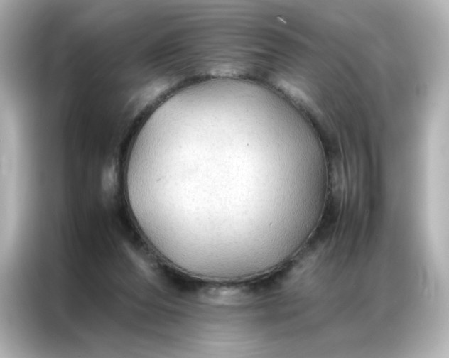 X0000086920208200704301104