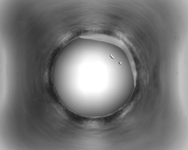 X0000086920209200704301104
