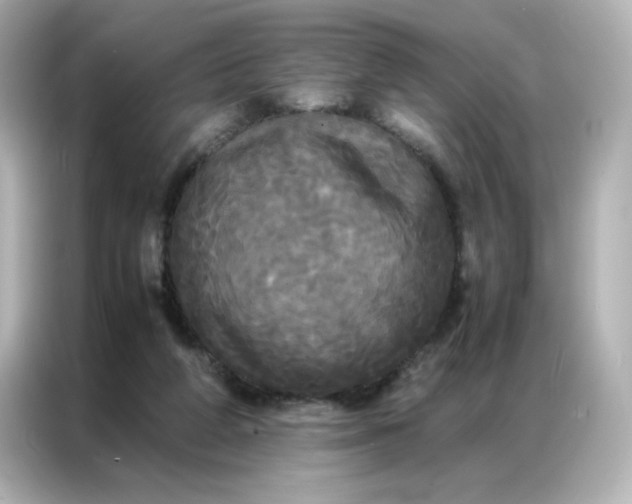 X0000086920210200704301104