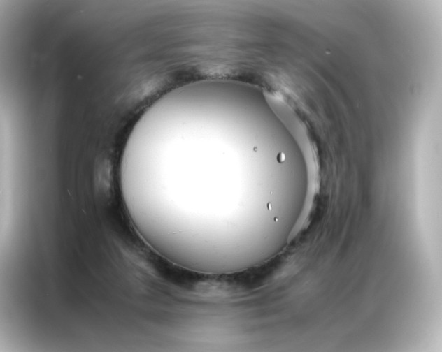 X0000086920211200704301104