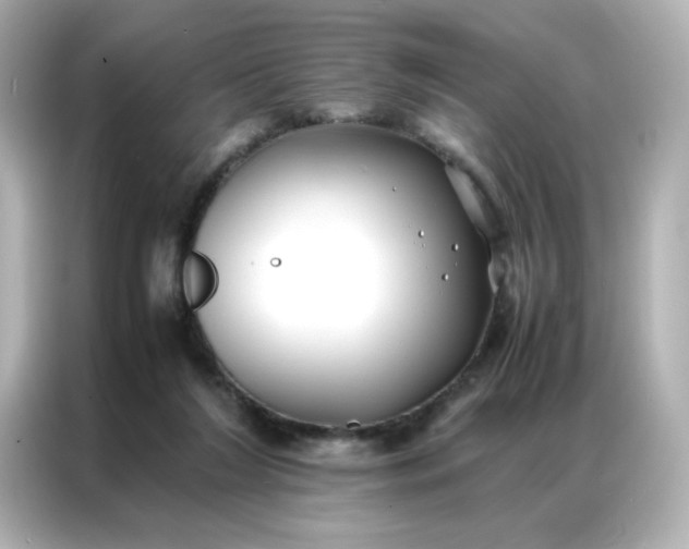 X0000086920212200704301104