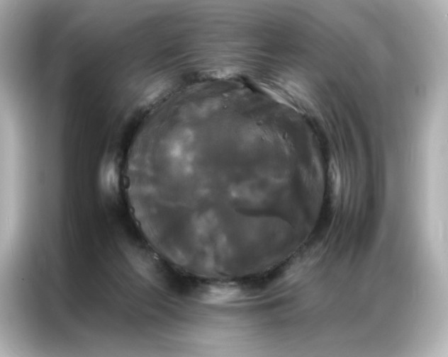 X0000086920214200704301103