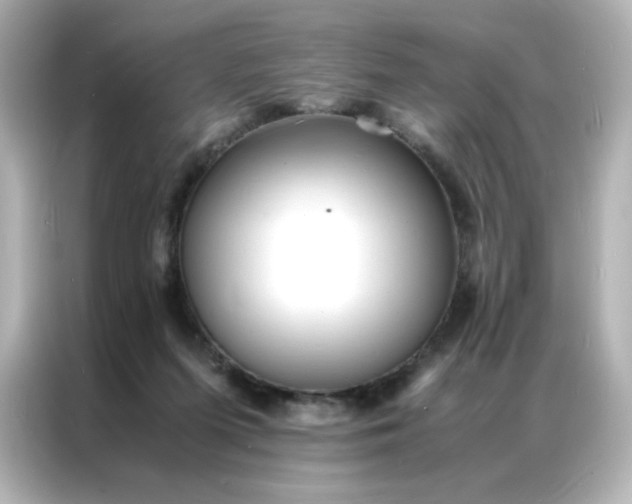 X0000086920215200704301103