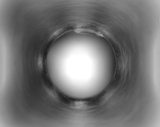 X0000086920216200704301103
