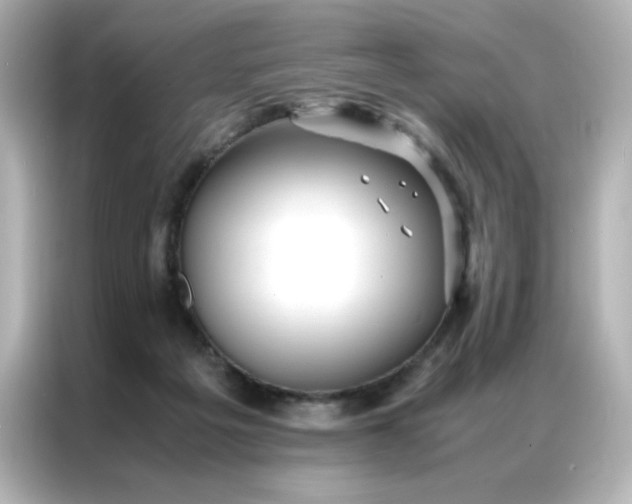 X0000086920217200704301103