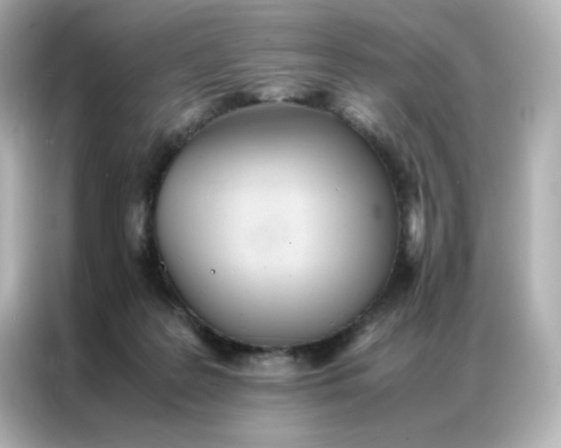X0000086920219200704301103