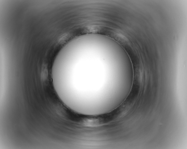 X0000086920220200704301103