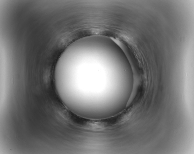 X0000086920221200704301103