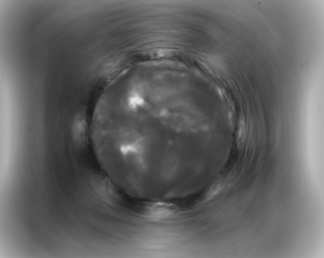 X0000086920222200704301103