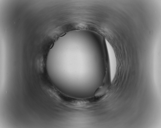 X0000086920223200704301103