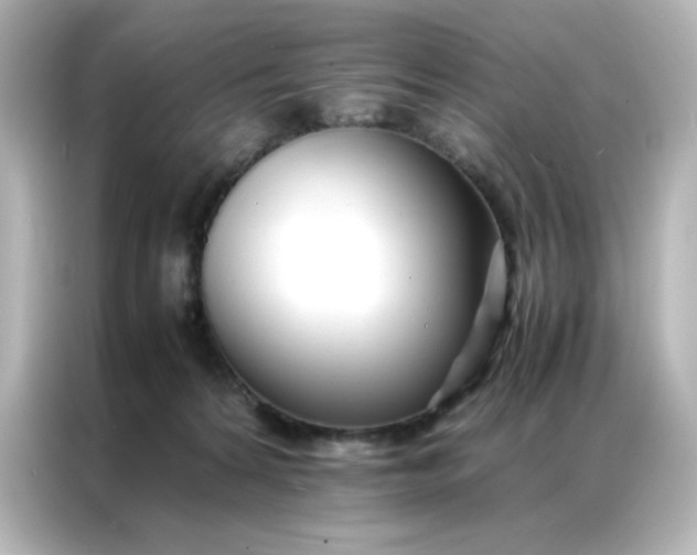 X0000086920224200704301103