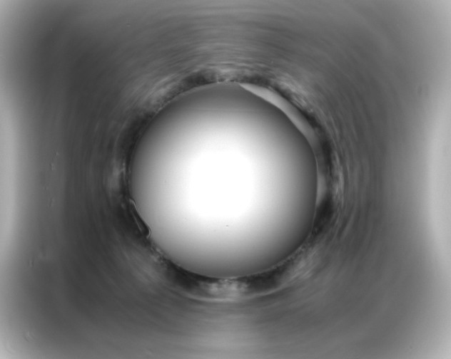 X0000086920225200704301103