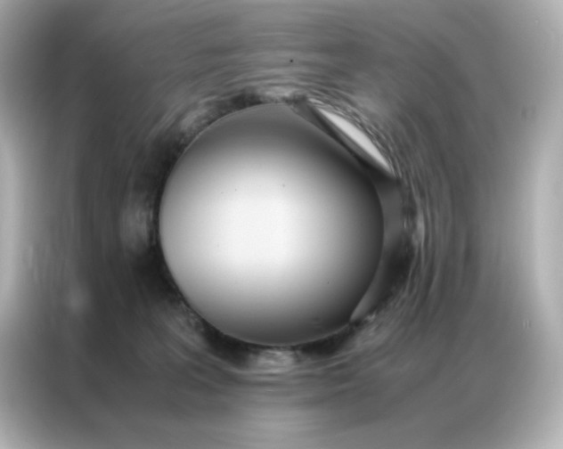 X0000086920227200704301103