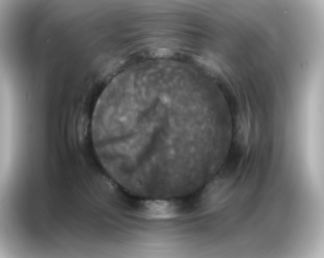 X0000086920230200704301103