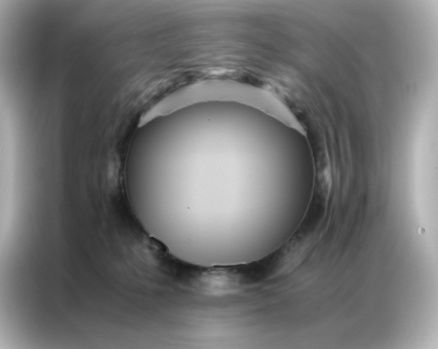 X0000086920231200704301103