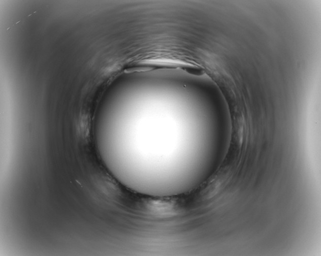 X0000086920232200704301103