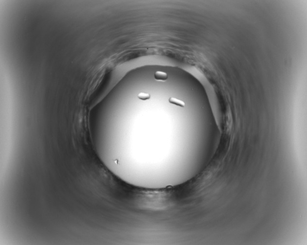 X0000086920233200704301103