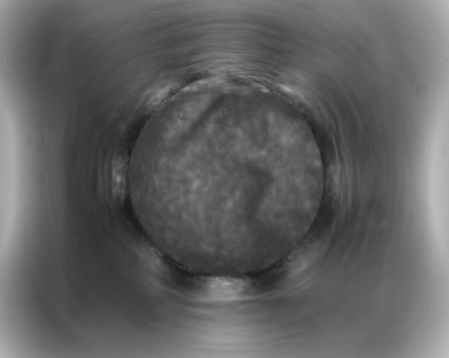 X0000086920234200704301103
