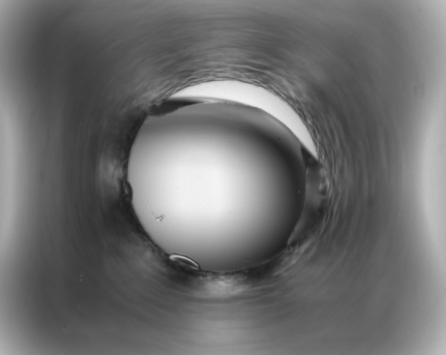 X0000086920235200704301103