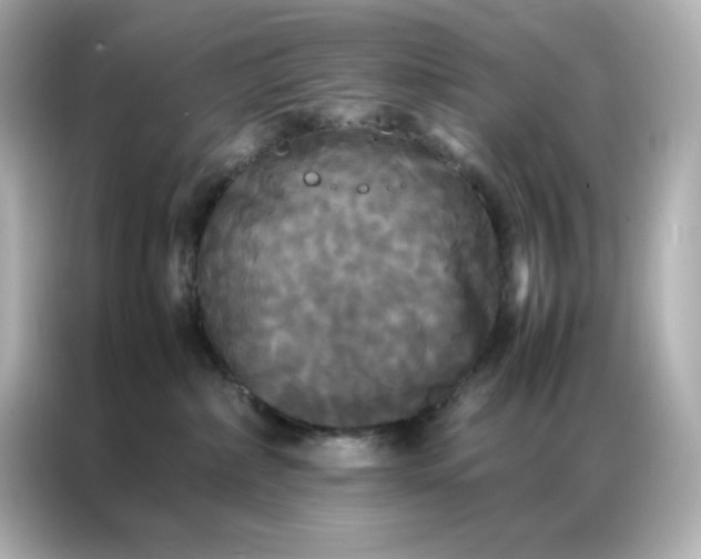 X0000086920236200704301103