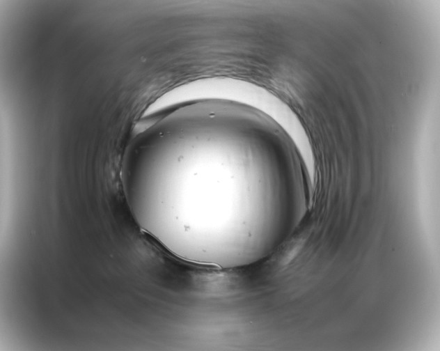 X0000086920237200704301103