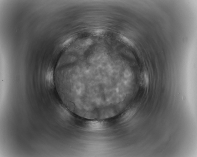 X0000086920238200704301103
