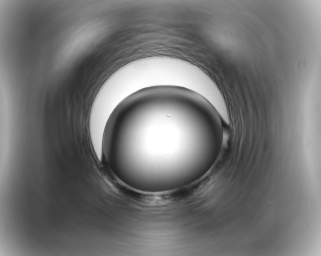 X0000086920239200704301103